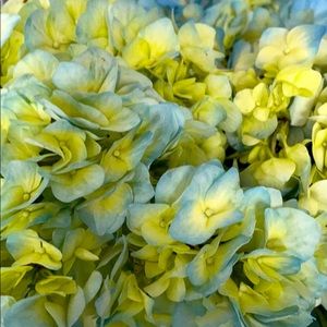 Meet your Posher, Mehak